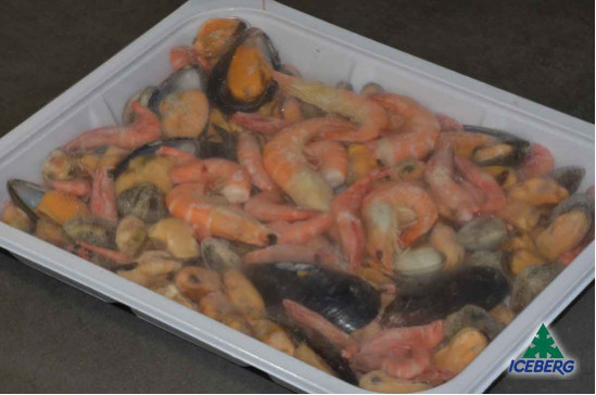 SCOGLIO DEL PESCATORE              7X900GR CG