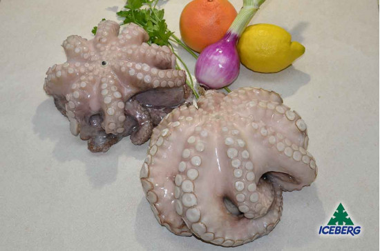 POLPO MAROCCO T1 4KG/UP P.V.       1X13KG  CG