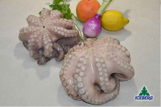 POLPO MAROCCO T1 4KG/UP P.V.       1X13KG  CG