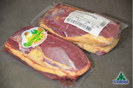 ANATRA PETTO MASCHIO S/O S.V.      1X4PZ   FR