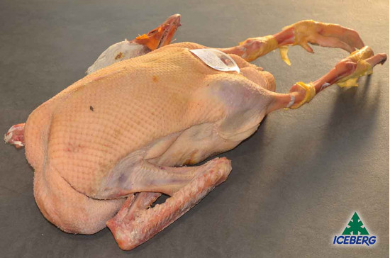 OCA T.Z.                           1X2PZ   FR