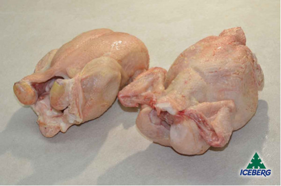 POLLO BUSTO 1300 GR M.             1X9PZ   CG