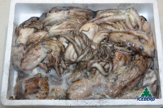 MOSCARDINO NOSTRANO "CHIOGGIA" 1X8KG CG