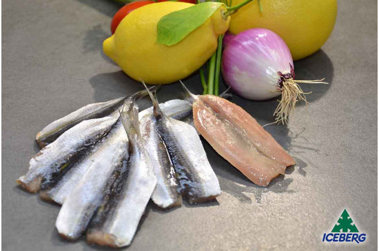 FILETTO ALACCIA INDOPACIFICA       10X800GRCG