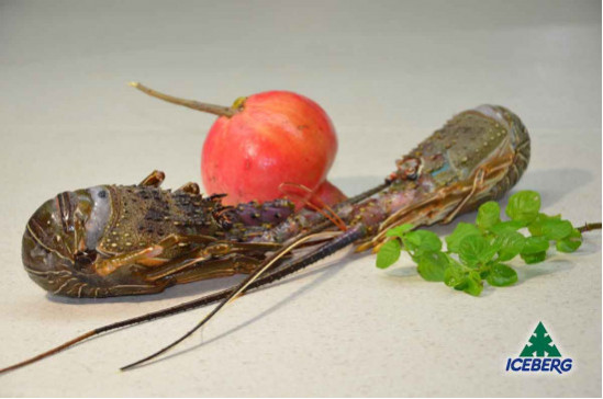 ARAGOSTE VERDI CRUDE MAUR.100/200  1X5KG   CG