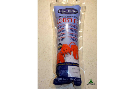 ASTICE AMERIC.PREC. TUBO X300      1X2PZ  +CG