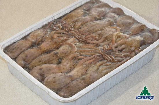 MOSCARDINO TUNISIA P 60/90         4X3KG   CG