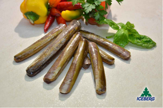 CANNOLICCHIO OCEANICO              2X1KG  +CG