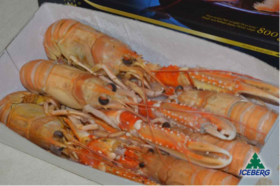 SCAMPI DANIMARCA LAESO  4/7        6X800GR CG