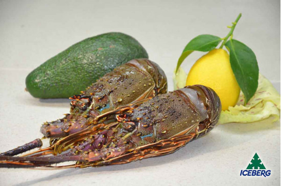 ARAGOSTE VERDI CRUDE MAUR.200/300  1X5KG   CG