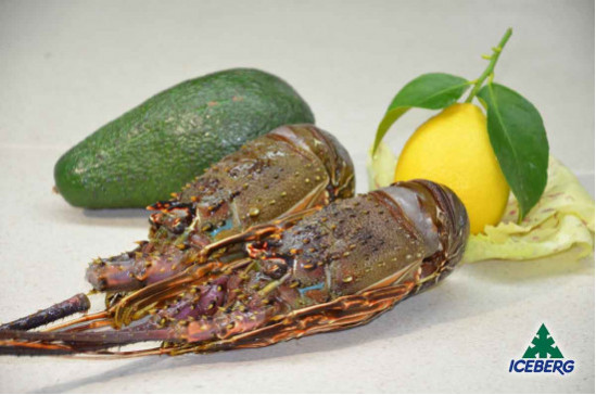 ARAGOSTE VERDI CRUDE MAUR.200/300  1X5KG   CG