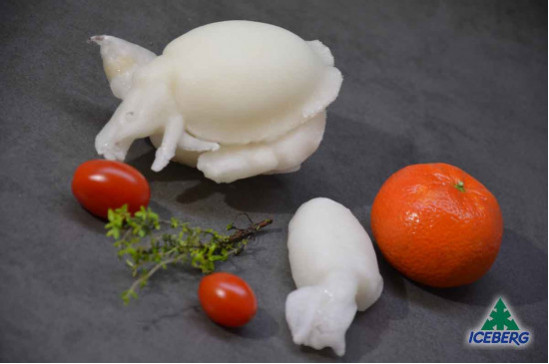 SEPPIE SPAGNA PP                   1X5,4KG CG