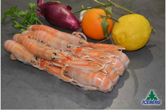 SCAMPI SCOZIA LAESO  8/12          6X750GR CG