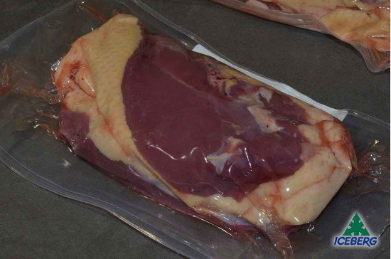 ANATRA PETTO FEMMINA S/O S.V.      1X4PZ   FR