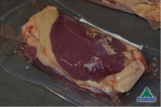 ANATRA PETTO FEMMINA S/O S.V.      1X4PZ   FR