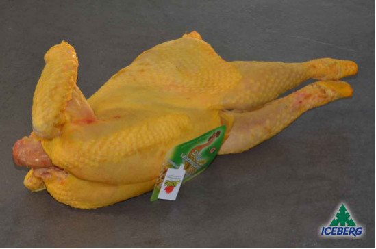 POLLO BUSTO VEGETARIANO P.V.       1X5PZ   FR