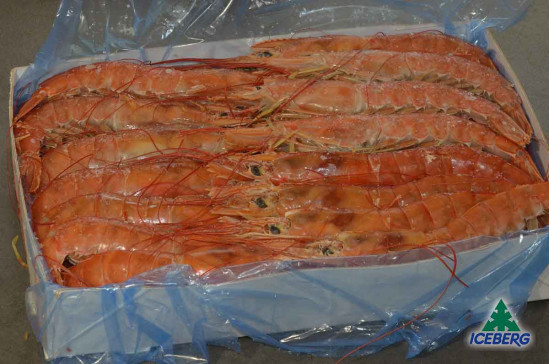 GAMBERI ARGENTINA 10/20 B. E.      2X2KG  +CG