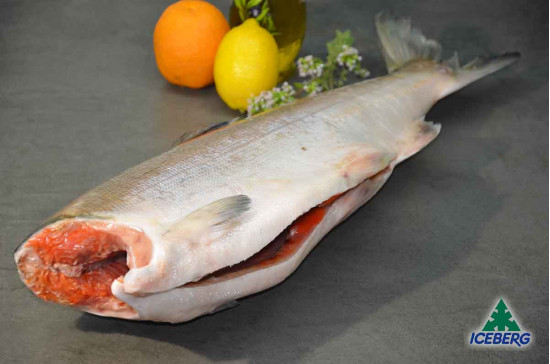 SALMONE ROSSO SELVAGGIO DEC. EV.PV 1X2PZ   CG