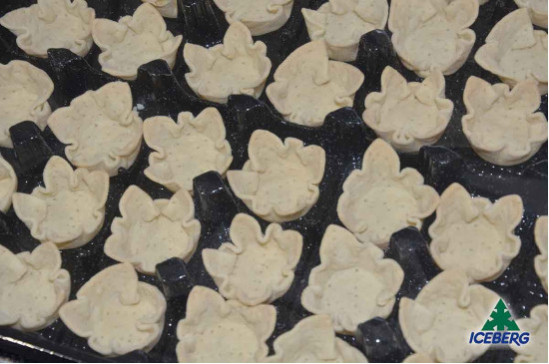 IRIS                               1X96PZ  FR