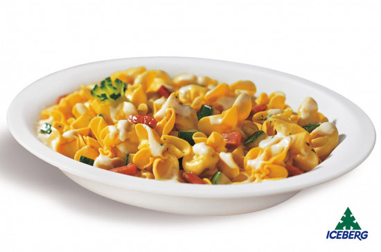 FIOCCHETTI SPECK/ZUCCHINE F.P.     1X4PZ   SG