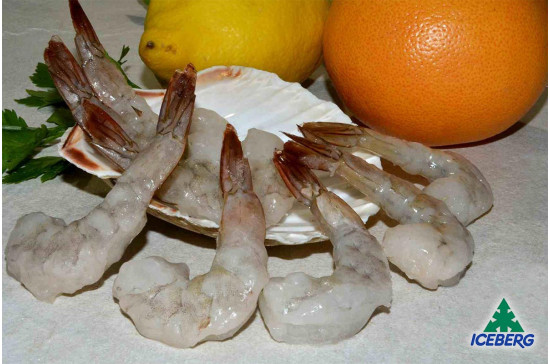 CODE MAZ.LE TR.EC.SG.SV.C/C 36/40 S.10X1KG CG