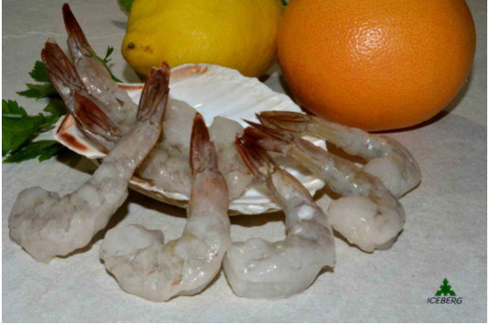 CODE MAZ.LE TR.EC.SG.SV.C/C 36/40 S.2X1KG +CG