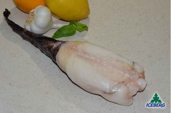 CODE RANA PESC.OCEAN.1000/UP PV    1X12KG  CG