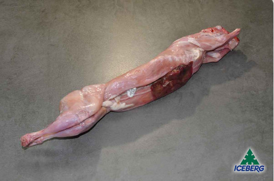 CONIGLIO C/T                       1X5PZ   FR