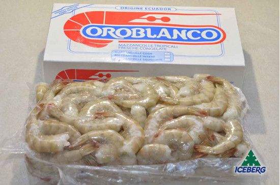 CODE MAZZ.LE TROP.EC. P.P. 26/30 S.2X2KG  +CG