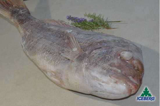 PAGRO INDOPACIFICO N.Z. N.3        1X2PZ   CG