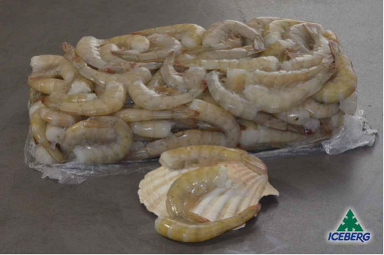 CODE MAZZ.LE TROP.EC. P.P. 36/40 S.6X2KG   CG