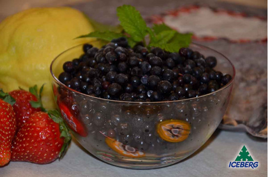 MIRTILLO BOSCO E.                  8X1KG   CG