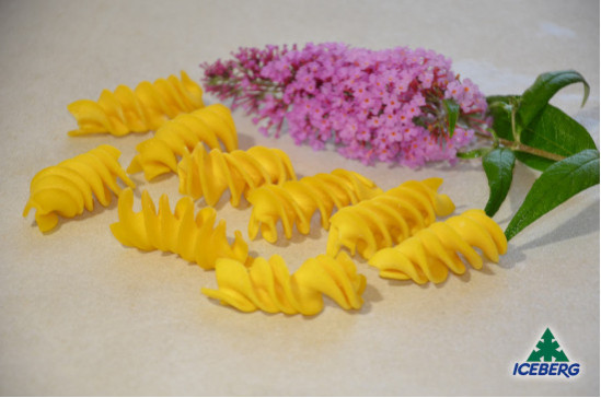 FUSILLONI ALL'UOVO L.T.            1X2KG   SG