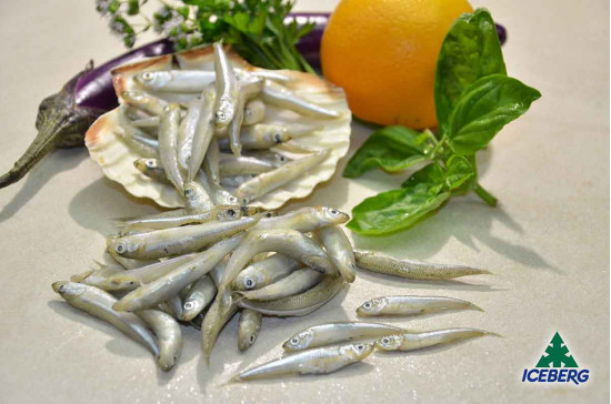 LATTERINO TURCHIA                  10X1KG  CG