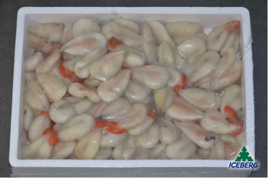 UOVA SEPPIA P.P.                   1X2KG  +CG